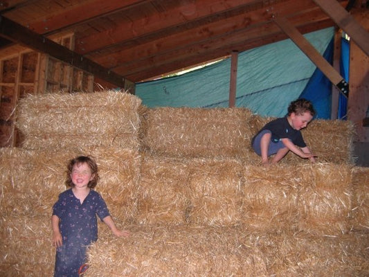 Our Strawbale House - 12 years in