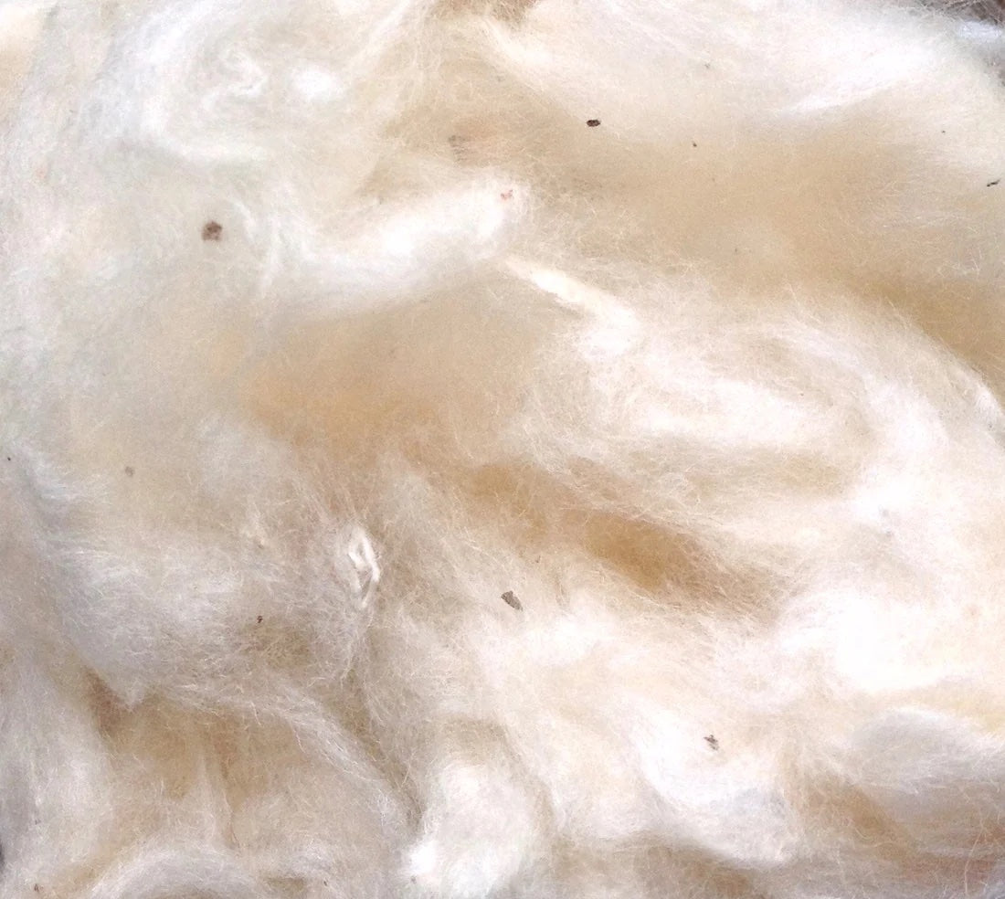 Kapok. Did you know kapok floats even when fibers get wet?