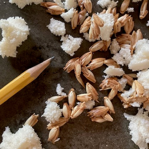 Natural Latex Infused Spelt Hulls