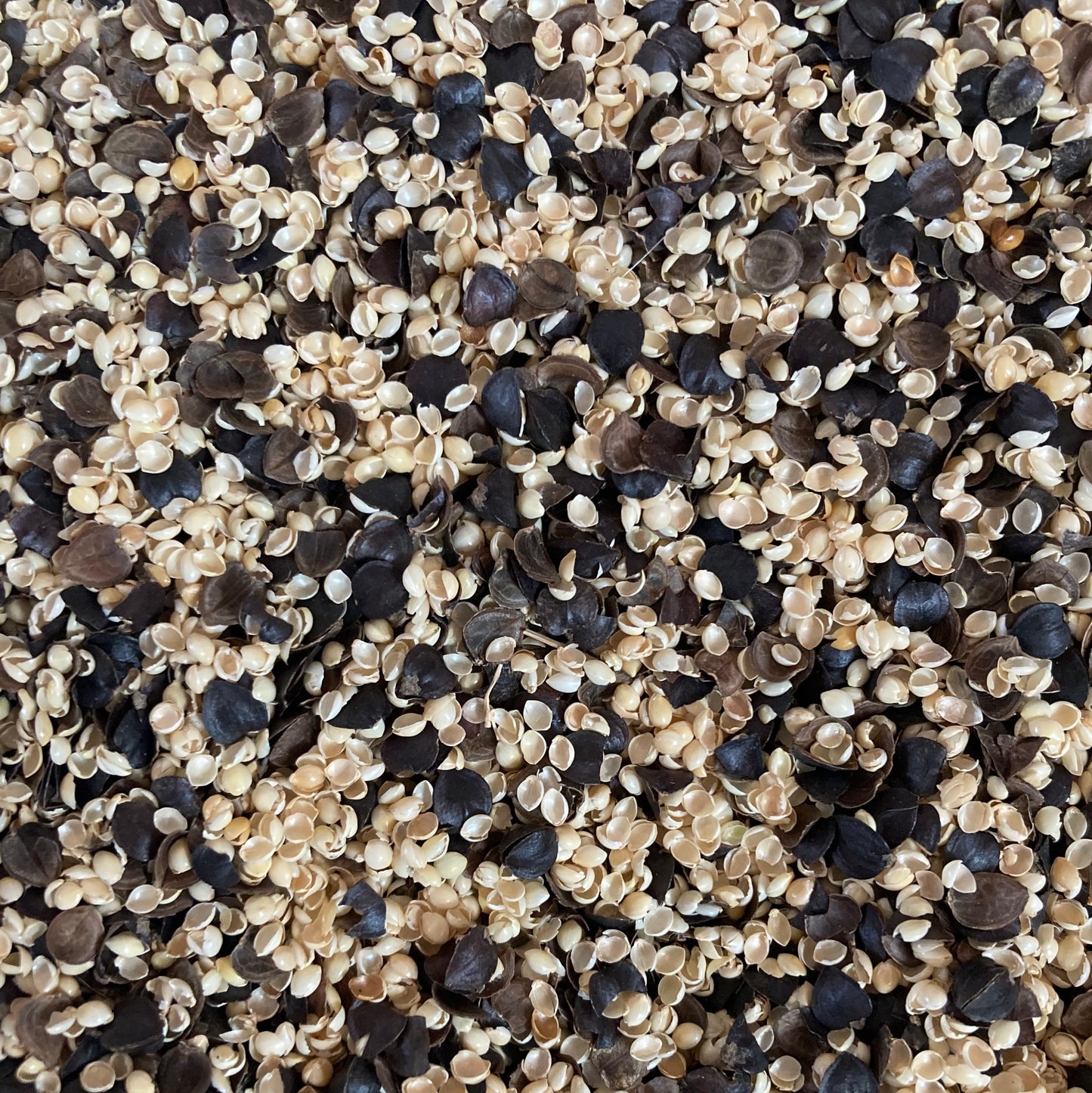 Organic Pillow Components