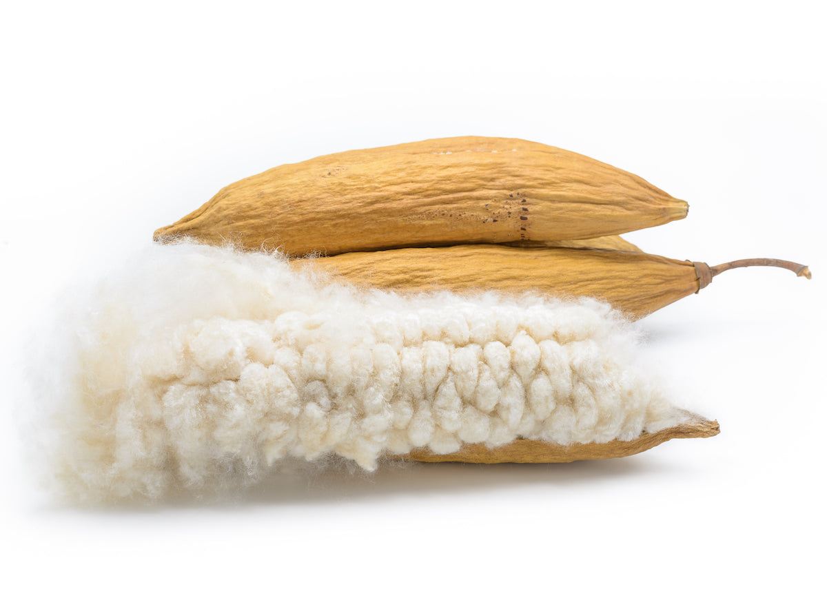 Kapok. Did you know kapok floats even when fibers get wet?