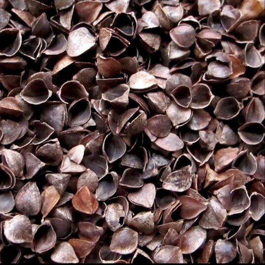 DISCOUNT non-organic buckwheat hulls