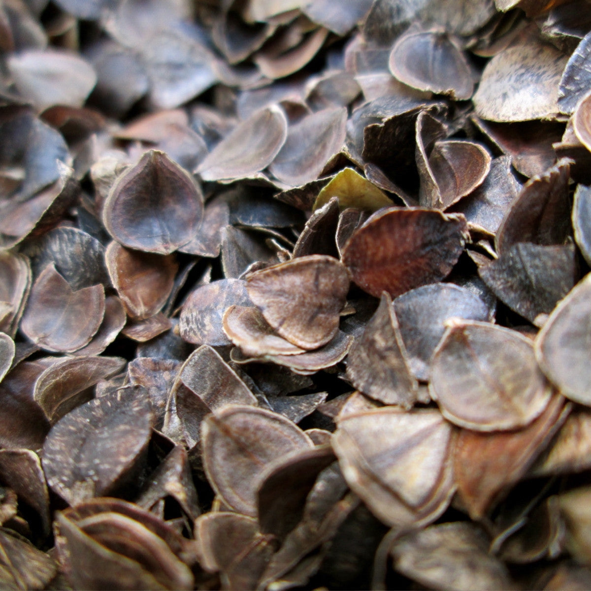 buckwheat pillows and bulk buckwheat hulls for handmade mattress