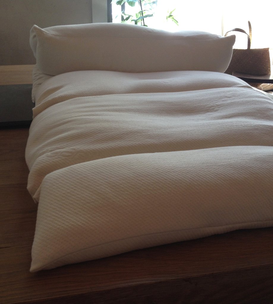 xCustom Body Pillow Kit Order with shipping to Florida